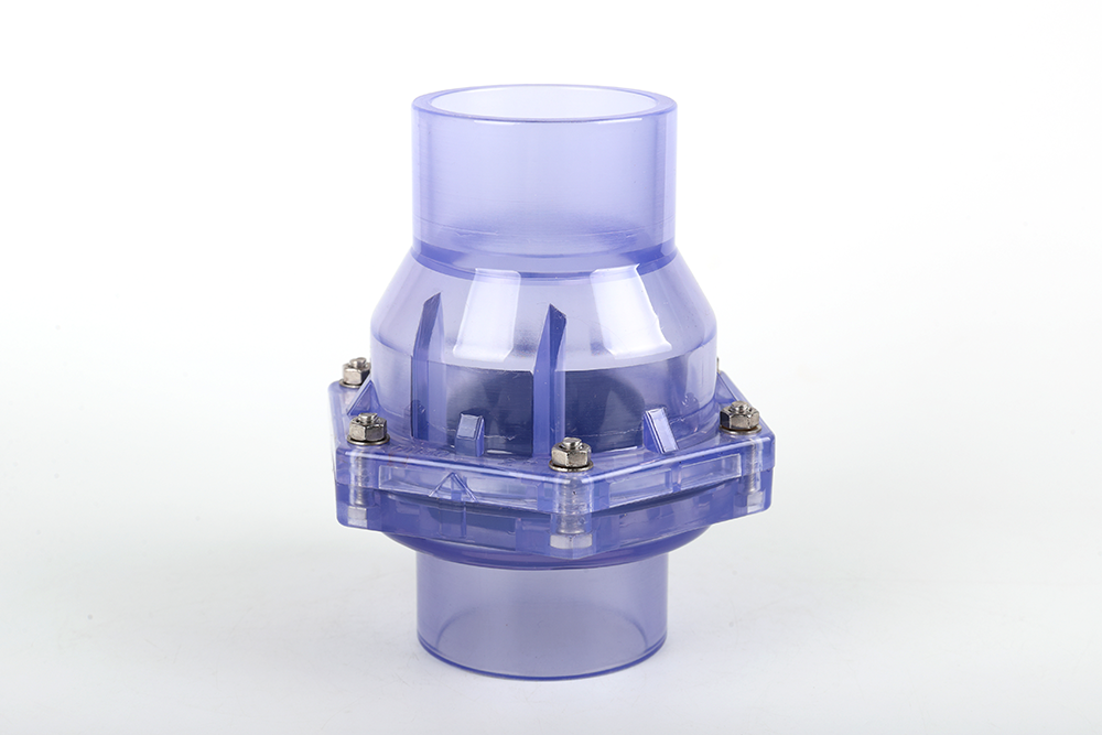 南乐透明翻板式止回阀